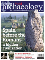 Current World Archaeology 29
