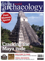 Current World Archaeology 30
