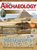Current World Archaeology 44