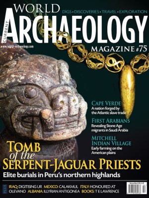 Current World Archaeology 75