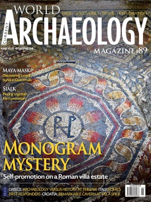 Current World Archaeology 89