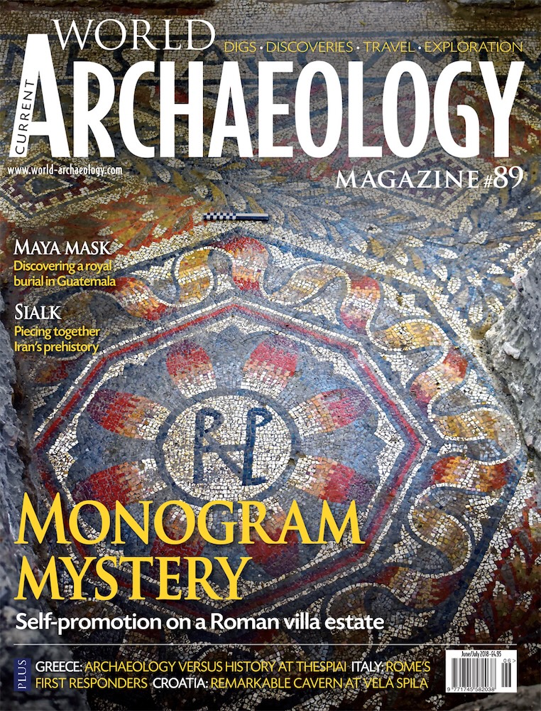 Current World Archaeology 89
