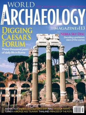 Current World Archaeology 113
