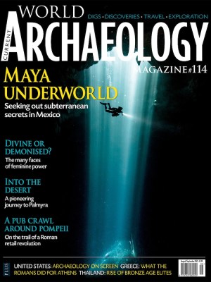 Current World Archaeology 114