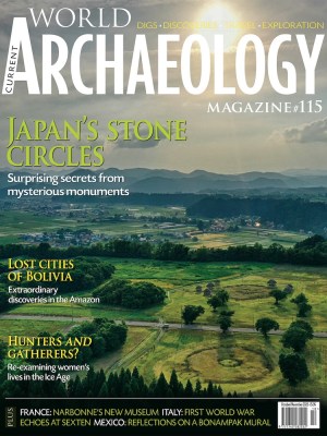 Current World Archaeology 115